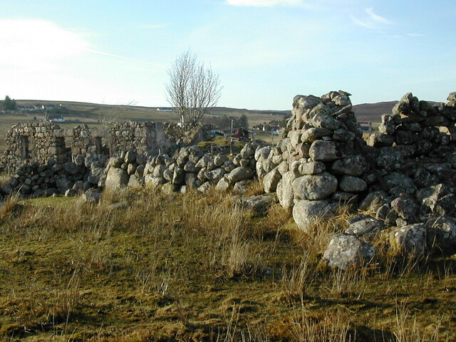 NG99SW0008 (2).JPG
