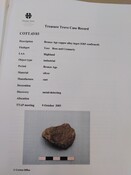 SHG28370_TT.43.03_Tore ingot (P).pdf