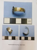 SHG28371_2014.050_W. Dalziel ring.pdf