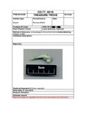 SHG28370_TT.49.16_Foulis Roman Brooch (P).pdf