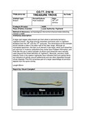 SHG28370_TT.216.16_Evanton Brooch Pin (P).pdf
