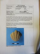 SHG28370_TT.212.12_Viking pommel Teangue (P).pdf