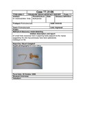 SHG28370_TT.31.06_Portmahomack MD finds (P).pdf