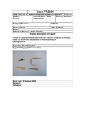 SHG28370_TT.29.06_Dornoch Assemblage (P).pdf