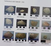 SHG28371_2007.006_Tarradale dagger frags (P).pdf