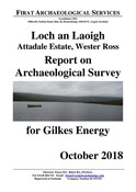 SHG28740_Loch_an_Laoigh_Survey_2017.pdf