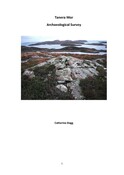 SHG28775_Tanera_Mor_Arch_survey_2017.pdf