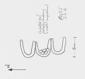 Drawing of Structure at NH 22428 69544.pdf