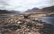 NH10SE0008.jpg
