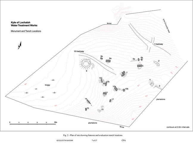 Fig2.tif