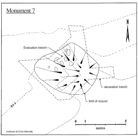 Fig3.tif