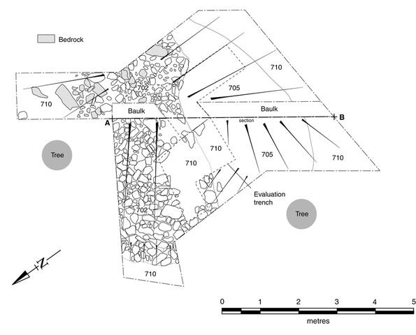 Fig4.tif