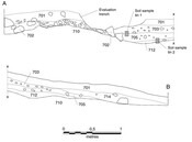 Fig5.tif