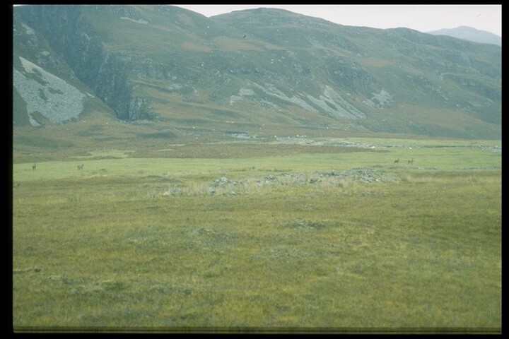 NH19NE0001 - Settlement, Dalbenloch, Pairc a'Chlaiginn, Glen Achall 1.jpg