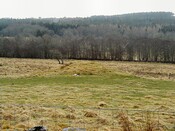 NH22NE0002DJL1.JPG