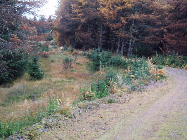 NH30NE0081 surviving section of road at bridge.JPG