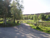 NH35NE0009HAW1.JPG