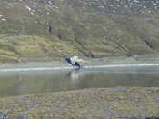 NH37SW0001 - outlet at NH 3207 7258 from W.jpg