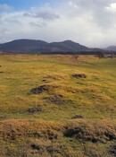 NH41NE0002DJL8.jpg