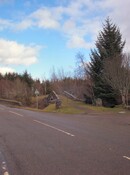 NH41NE0006DJL3.jpg