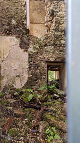 PXL_20230830_134034102.jpg