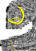 19-11-2015 transcription.jpg