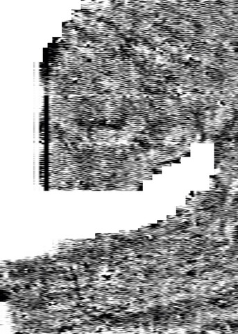 TARRADALE CASTLE geophys.jpg