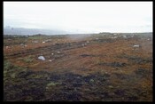 NH44NE0020 - Cultivation furrows, Cnoc Croit Na Maoile.jpg