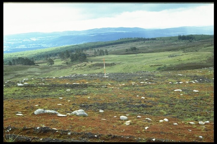 NH44NE0020 - Hut Circle and Field System, Cnoc Croit Na Maoile 1.jpg