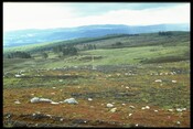 NH44NE0020 - Hut Circle and Field System, Cnoc Croit Na Maoile 1.jpg
