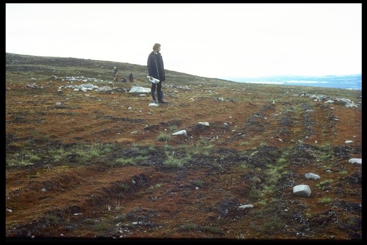 NH44NE0020 - Hut circle in burned ground, Cnoc Croit Na Maoile.jpg