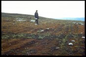 NH44NE0020 - Hut circle in burned ground, Cnoc Croit Na Maoile.jpg