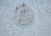 3085 Mains of Daviot Ring Cairn (January 2024) c (low res).jpg