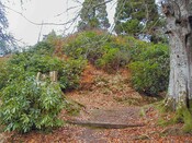 NH44SW0005DJL6.JPG