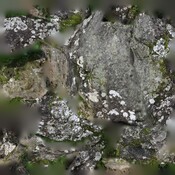 81A5F986-C257-4B97-A7B549ADEE2A3402_photogrammetry_1.jpg