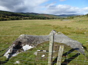 8BAAA393-769E-49D5-BE566118795BB72C_photographs_2.JPG