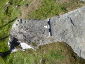 8BAAA393-769E-49D5-BE566118795BB72C_photographs_6.JPG