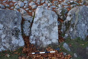 0843D0F0-9E03-4FD4-AE5E728E20220BCE_photographs_2.JPG