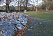 0843D0F0-9E03-4FD4-AE5E728E20220BCE_photographs_3.JPG