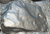 0843D0F0-9E03-4FD4-AE5E728E20220BCE_photographs_7.jpg