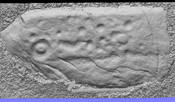 E689F646-593E-44EE-A0D0D15AE1875399_photographs_9.jpg