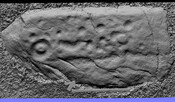 E689F646-593E-44EE-A0D0D15AE1875399_photographs_10.jpg