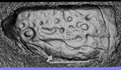 E689F646-593E-44EE-A0D0D15AE1875399_photographs_11.jpg