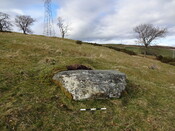 DEECE4F2-5362-4C12-A772C86AEE6FD7B4_photographs_1.JPG