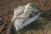 CC3CE4F1-2C76-4C25-8D11543DE97BE5CE_photographs_10.JPG