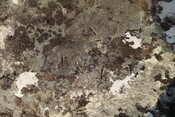 CC3CE4F1-2C76-4C25-8D11543DE97BE5CE_photographs_11.JPG