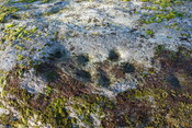 F21CB413-6BFA-4573-B682E5E019A3E659_photographs_10.JPG