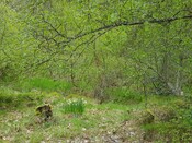 03BA67CF-E3B2-44A7-B542DA74D158FA26_photographs_6.jpg