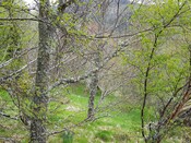 03BA67CF-E3B2-44A7-B542DA74D158FA26_photographs_7.jpg