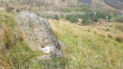 1FA959DB-04D9-447B-953BDED5303B57CD_photographs_2.jpg